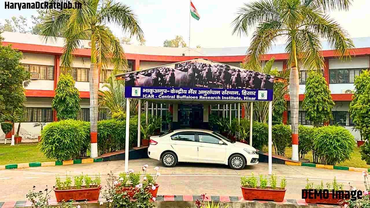 CIRB Hisar Vacancy 2026