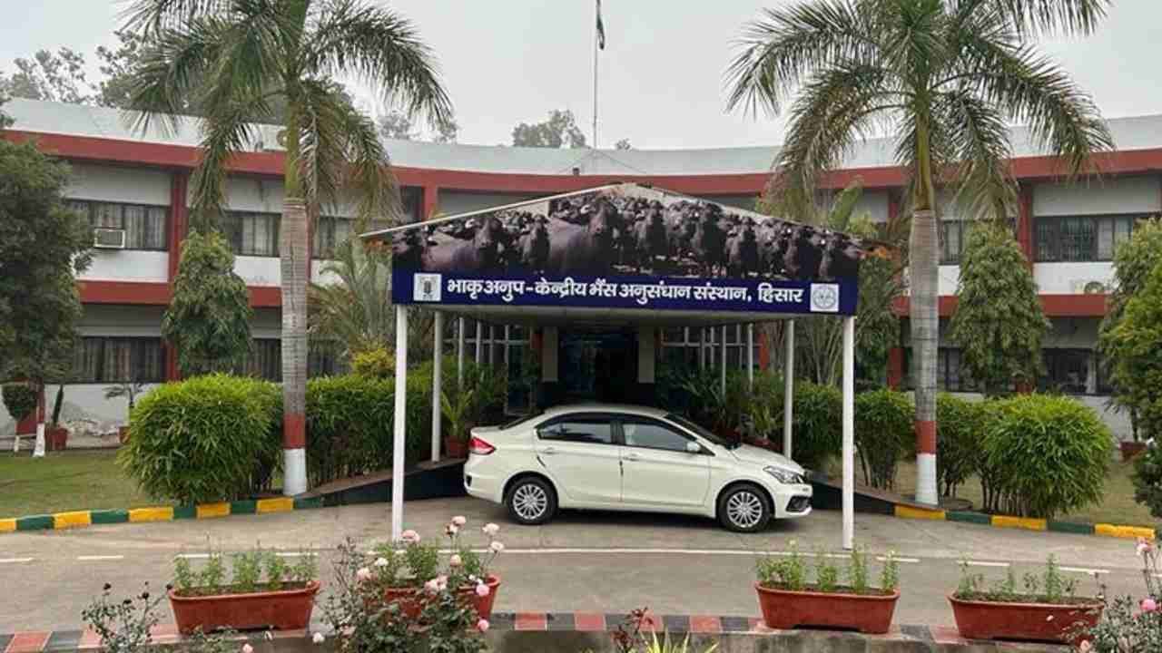 CIRB Hisar Vacancy 2026