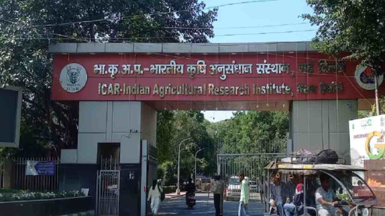 ICAR IARI Delhi Vacancy 2026