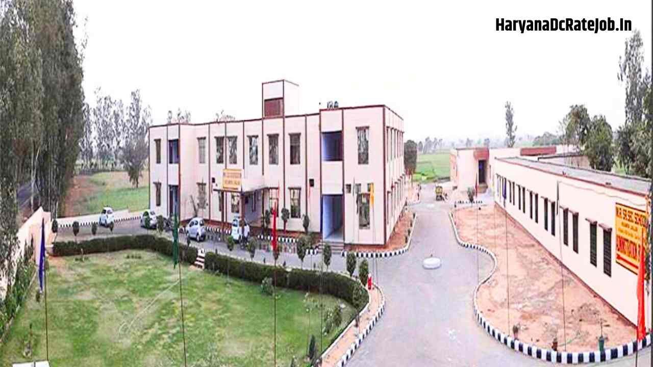 M.T. College Jhajjar Vacancy 2026 