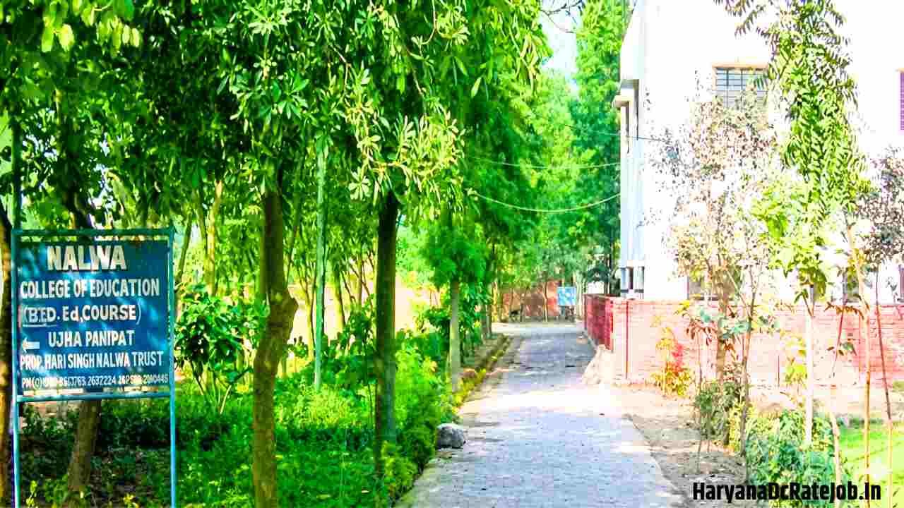 Nalwa College of Education Panipat Vacancy 2026