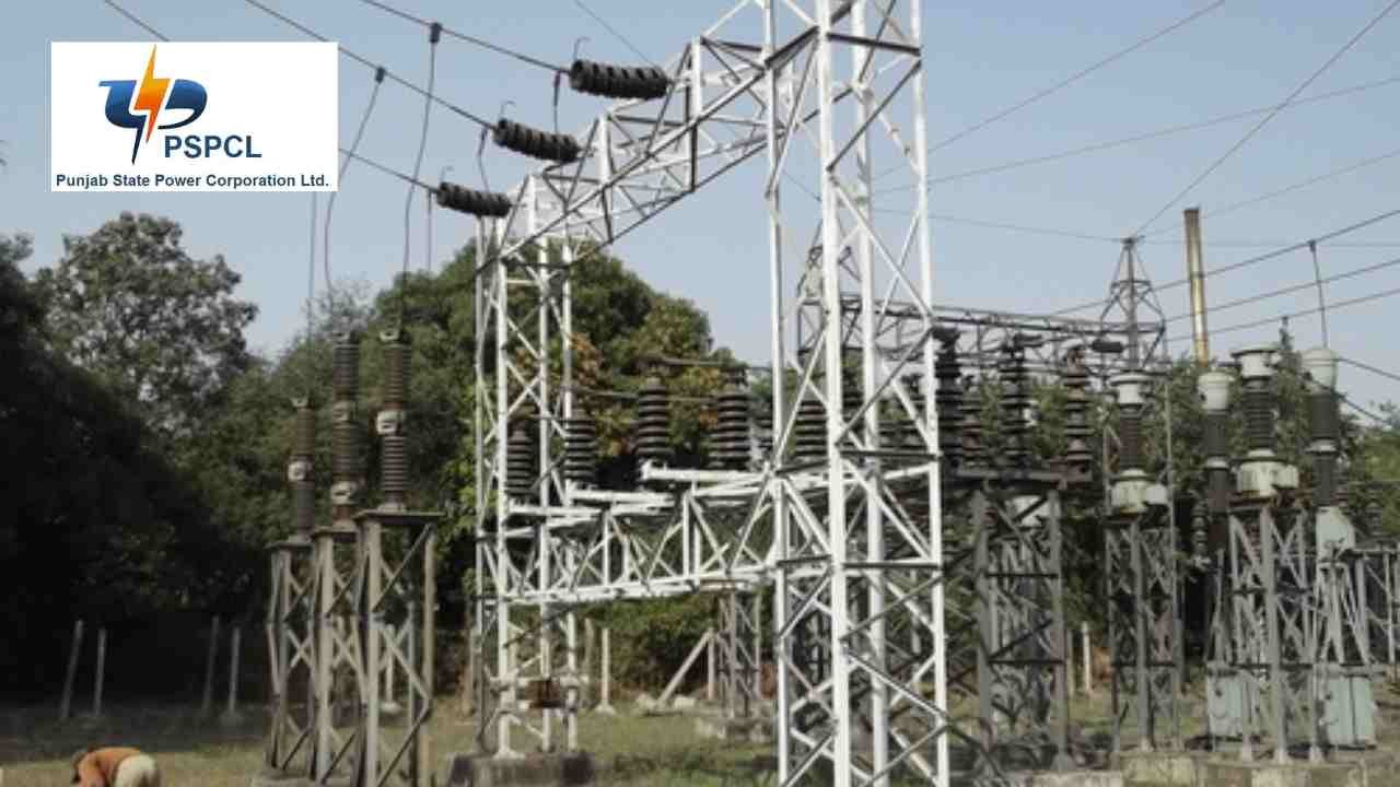 PSPCL ALM Vacancy 2026