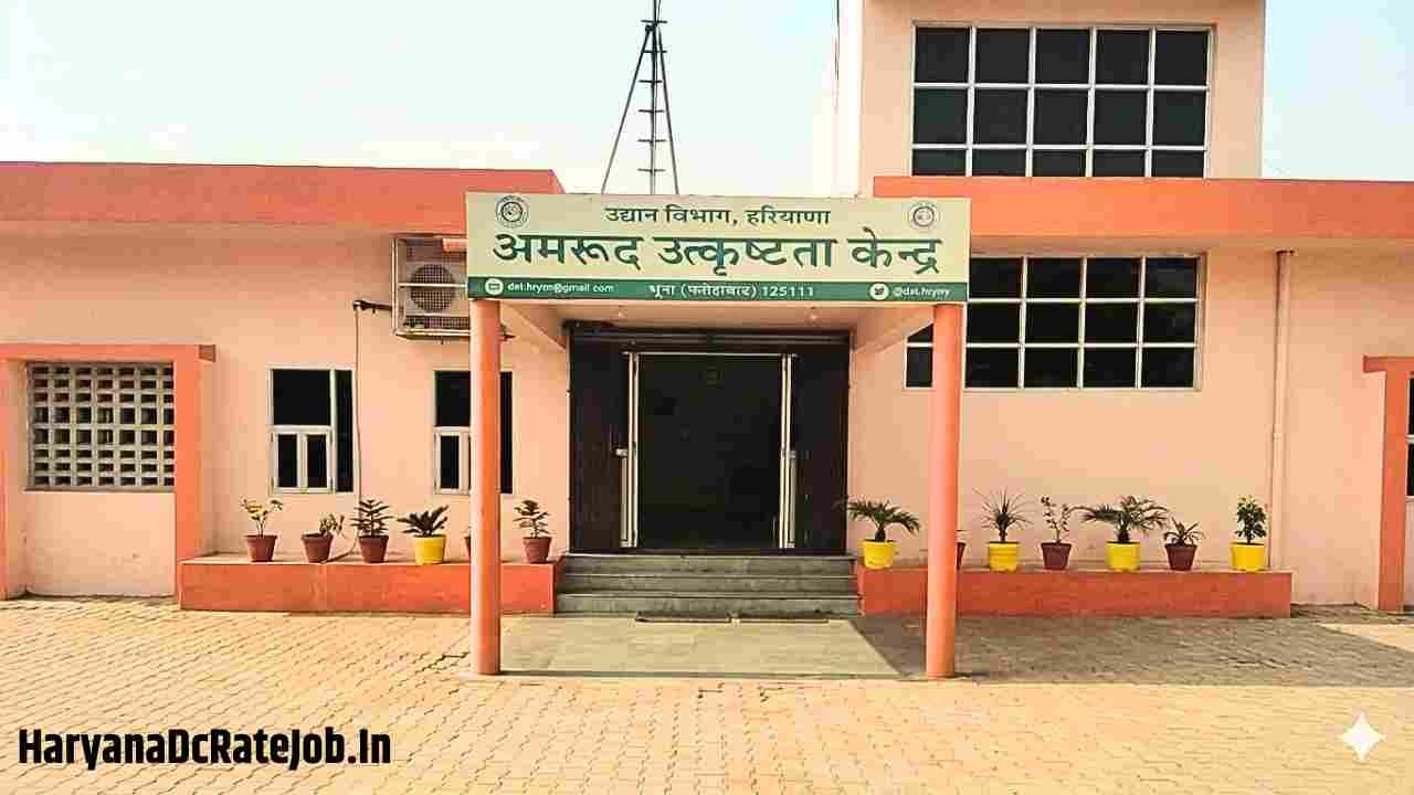Guava Excellence Centre Bhuna Vacancy 2026