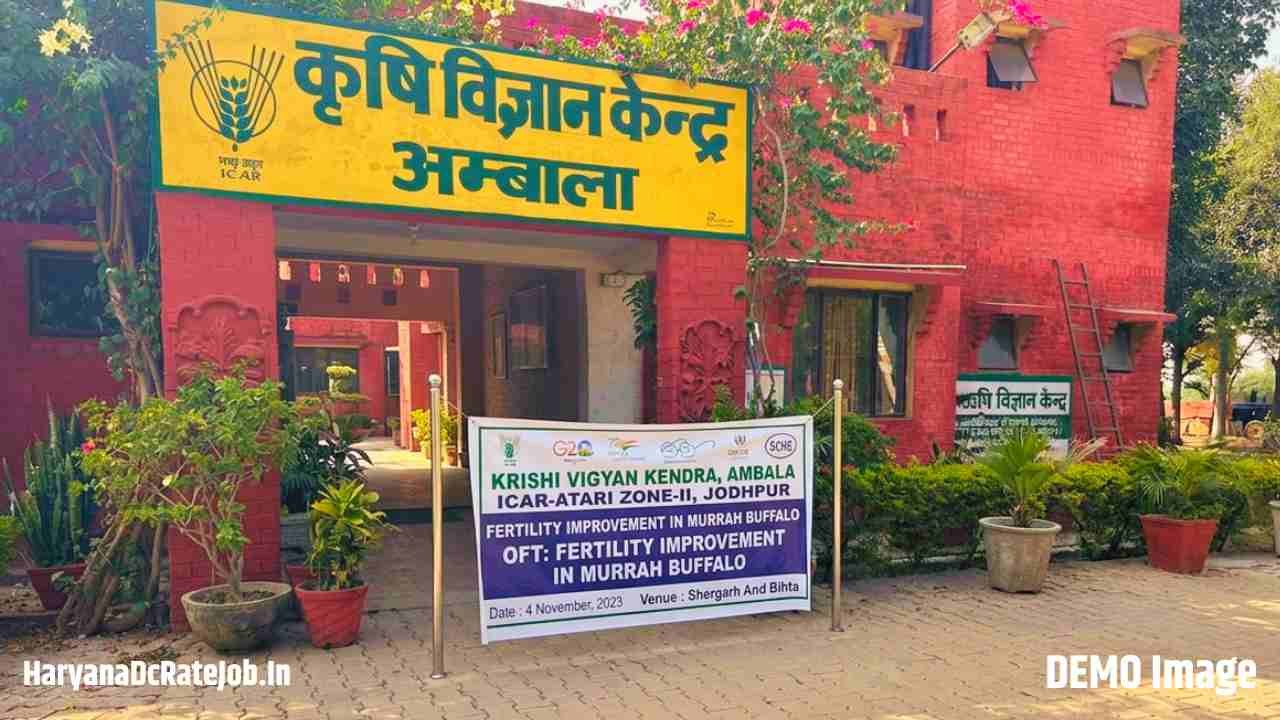 KVK Ambala Driver Vacancy 2026
