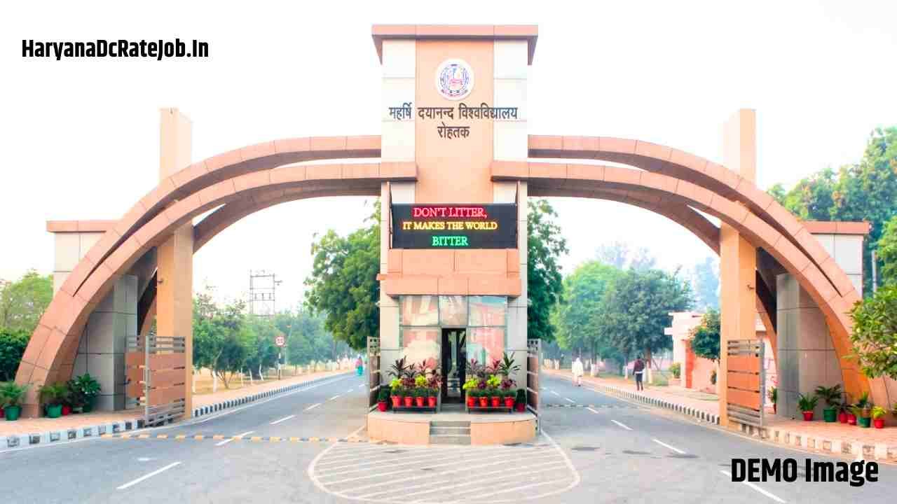 MDU Rohtak Field Investigators Vacancy 2026