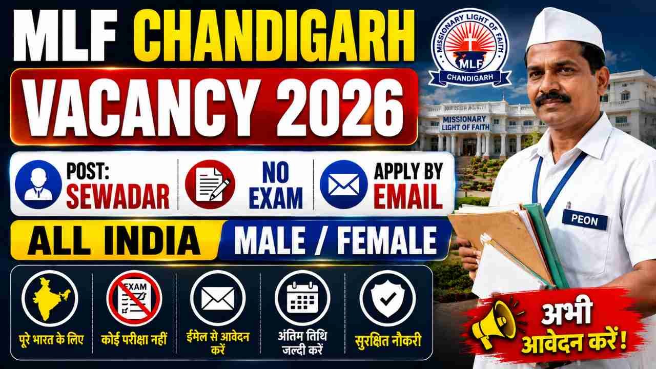 MLF Chandigarh Vacancy 2026
